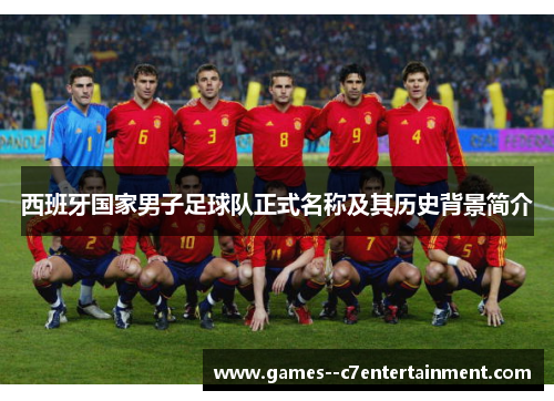 西班牙国家男子足球队正式名称及其历史背景简介