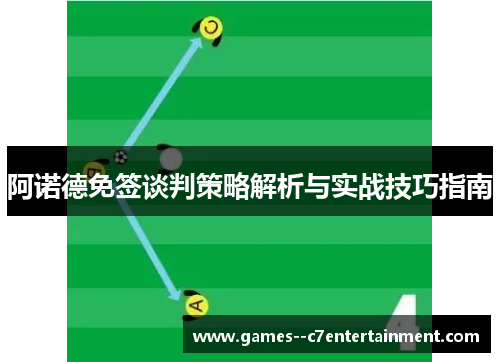 阿诺德免签谈判策略解析与实战技巧指南