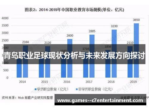 青岛职业足球现状分析与未来发展方向探讨
